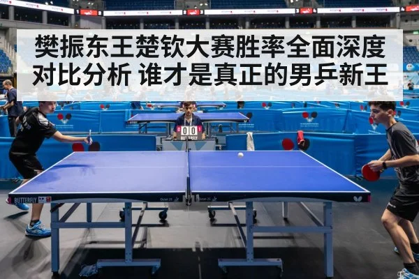 樊振东王楚钦大赛胜率全面深度对比分析 谁才是真正的男乒新王